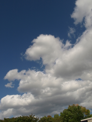 f0191170_2148597.jpg