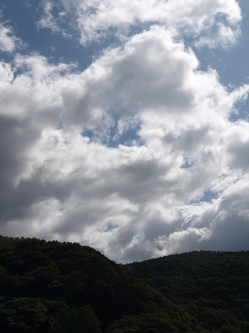 f0191170_21491340.jpg