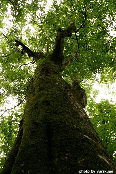 d0030373_10222639.jpg