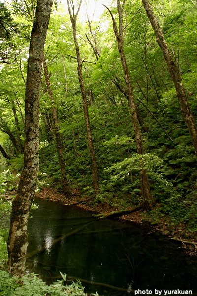 d0030373_9534950.jpg
