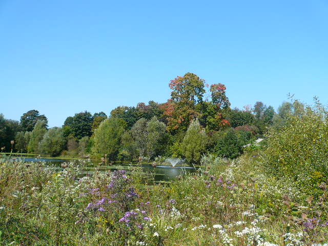 a0100975_638249.jpg