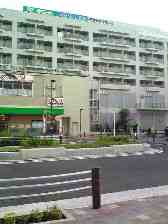 c0102375_335264.jpg