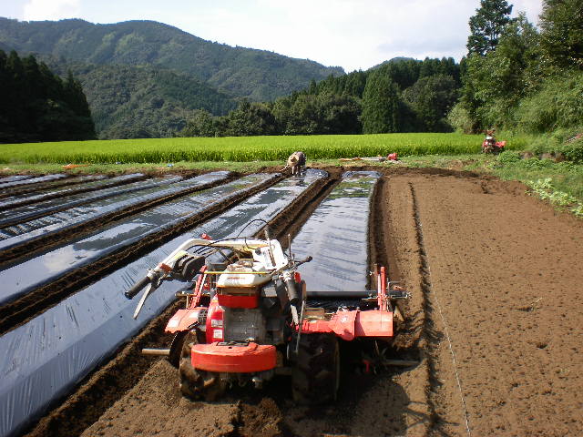d0040076_2231287.jpg