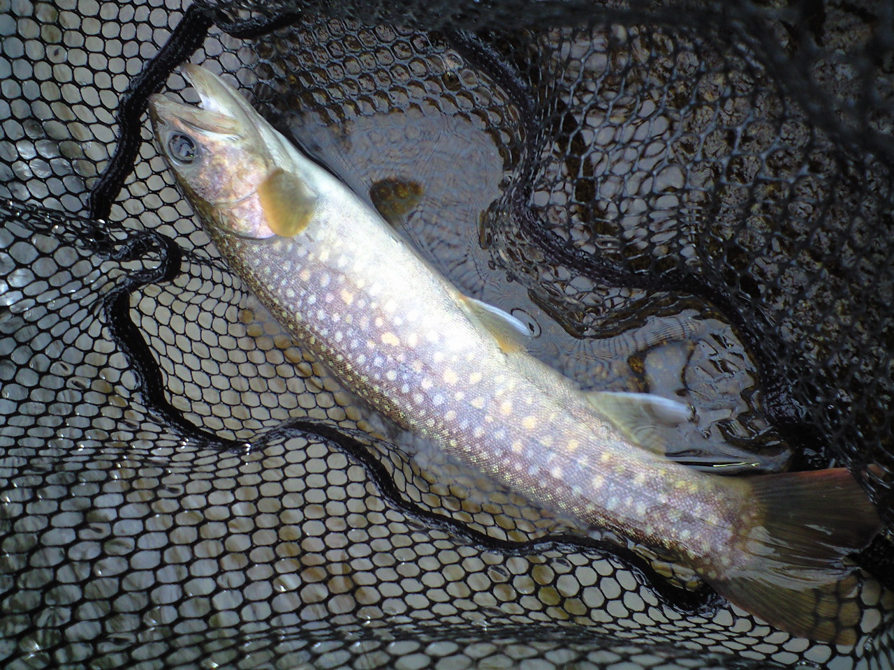 a0093677_20343347.jpg