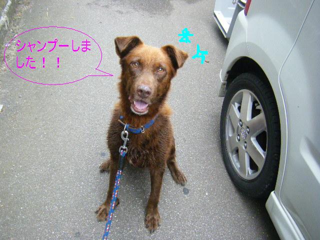 c0163878_1541765.jpg