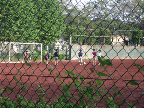 b0143879_1013256.jpg