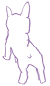 f0001880_11171433.gif