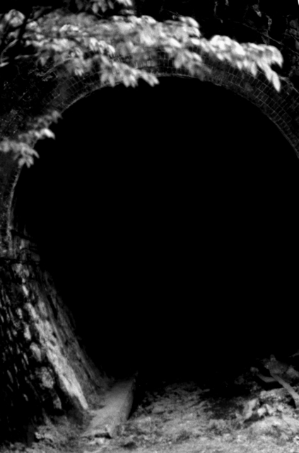 f0187882_1025848.jpg