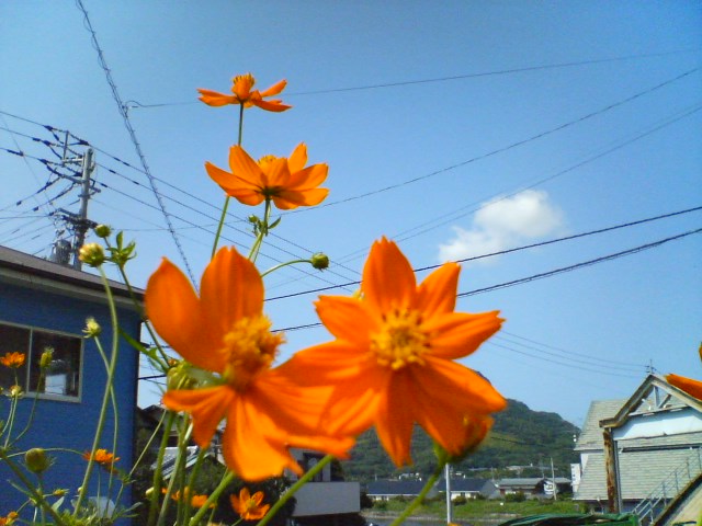 f0077595_8565779.jpg
