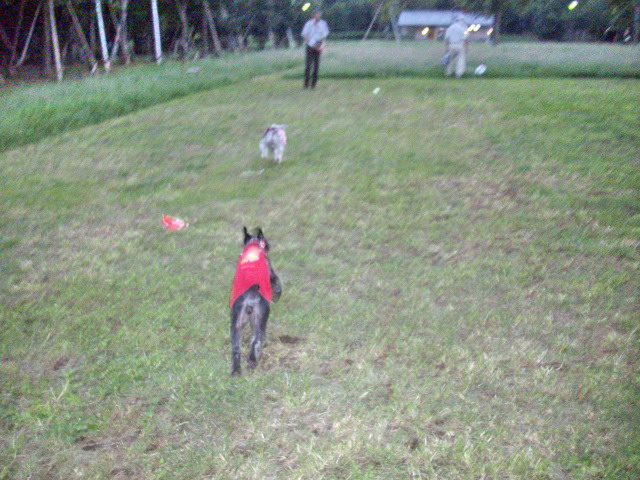 c0138198_15294487.jpg