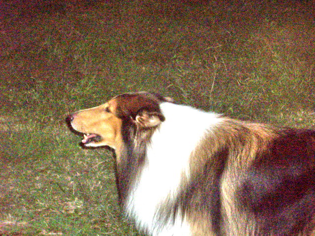 c0138198_15491435.jpg