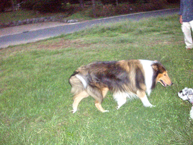c0138198_15495836.jpg