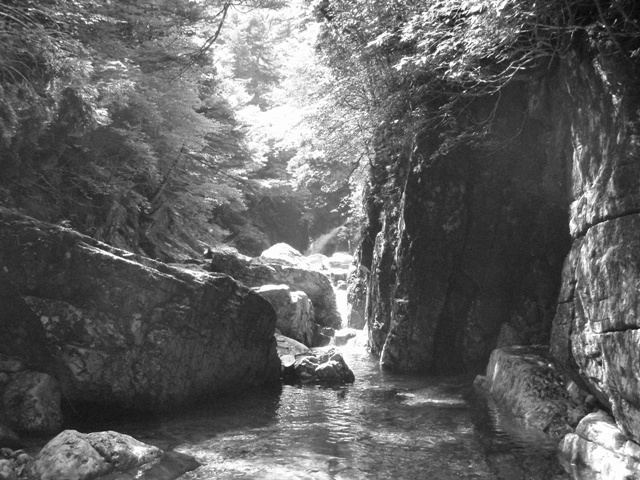 c0147398_2305221.jpg