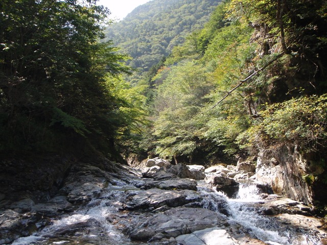 c0147398_23132324.jpg