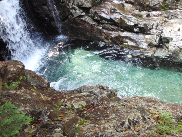 c0147398_23154274.jpg