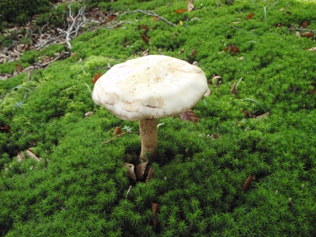 c0147398_2326201.jpg