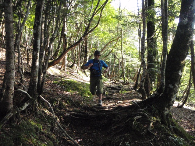 c0147398_23271222.jpg