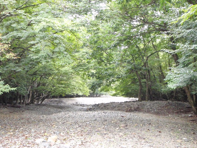 c0147398_2342095.jpg
