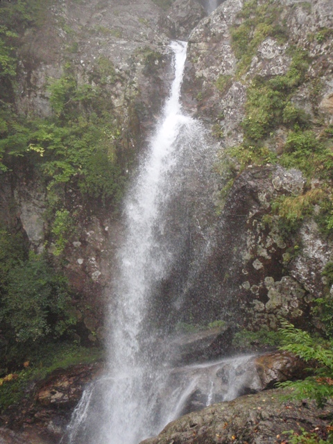 c0147398_2361553.jpg