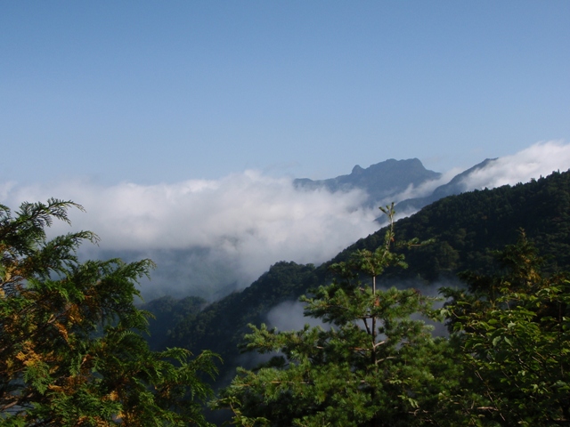 c0147398_2374291.jpg