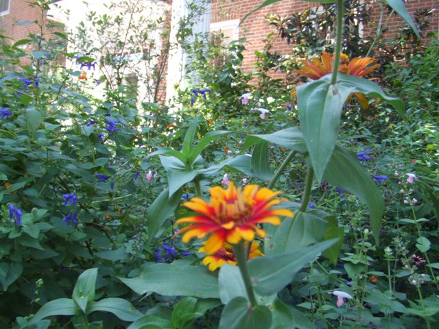 c0062603_11204341.jpg