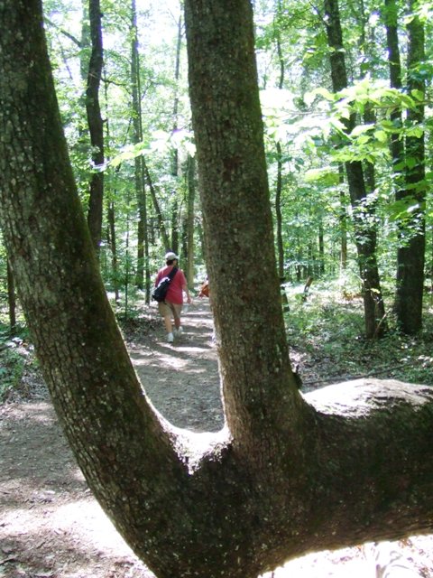 c0062603_11294394.jpg