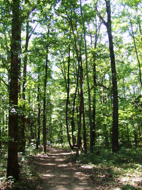 c0062603_1129580.jpg