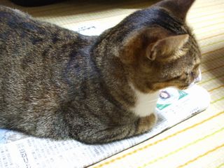 c0103205_20484021.jpg