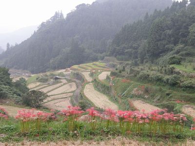 b0061107_224426100.jpg