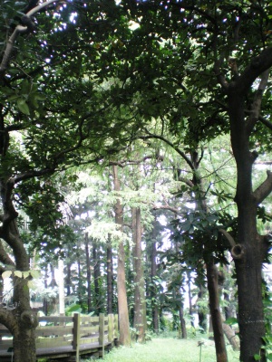 e0117613_15475158.jpg
