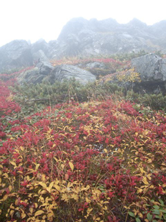 d0100314_1562545.jpg
