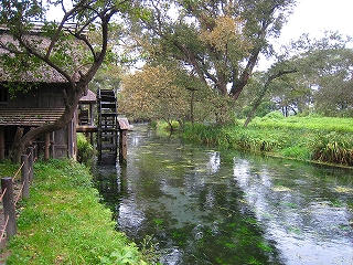 e0002820_13194215.jpg