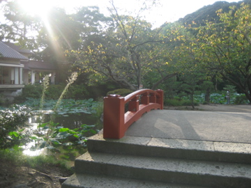 f0185920_014824.jpg
