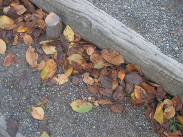 f0185920_021045.jpg