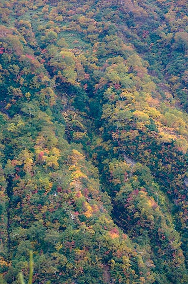 e0025030_1742818.jpg