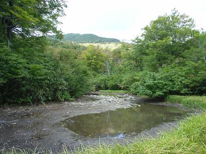 f0118332_1039574.jpg