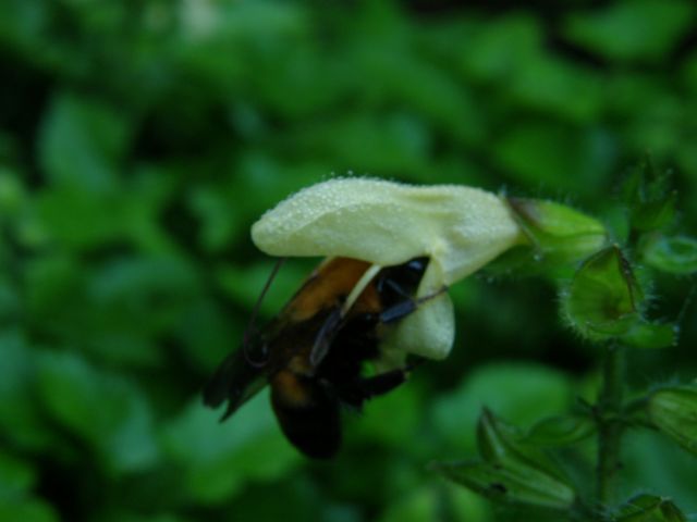 e0145033_20112940.jpg