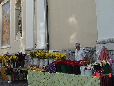 b0012636_11363741.jpg