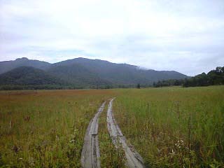 d0107938_2323688.jpg