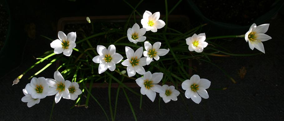 e0057640_17304311.jpg