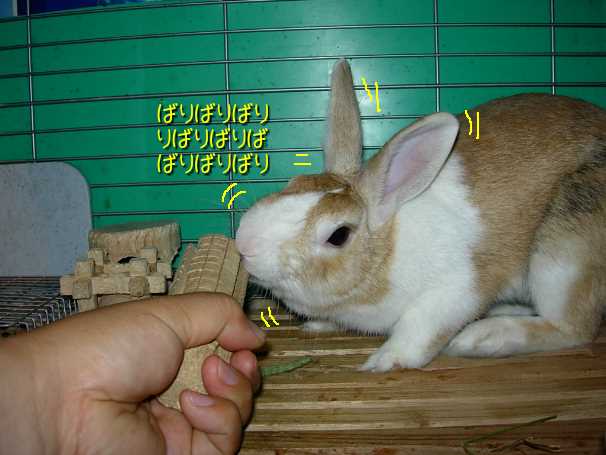 a0095546_123151.jpg