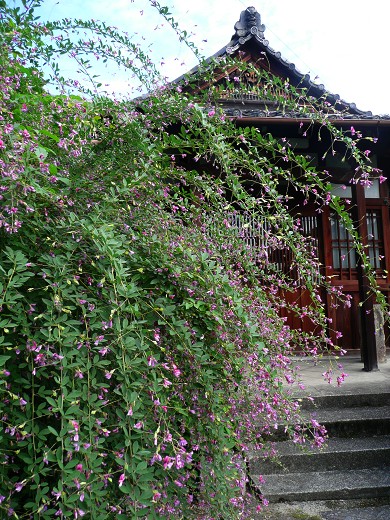 c0057946_1935426.jpg