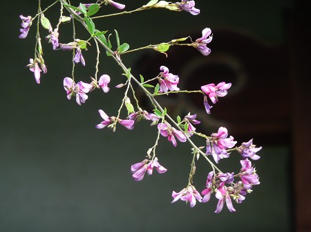 c0057946_1938088.jpg