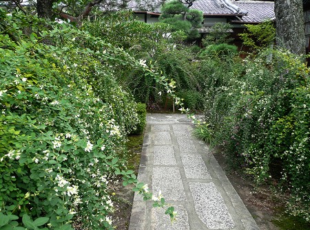 c0057946_19394960.jpg