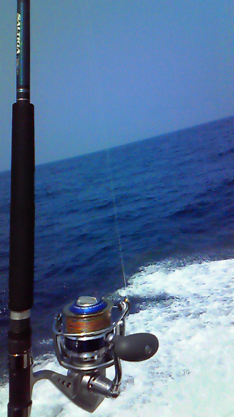 c0019951_023783.jpg