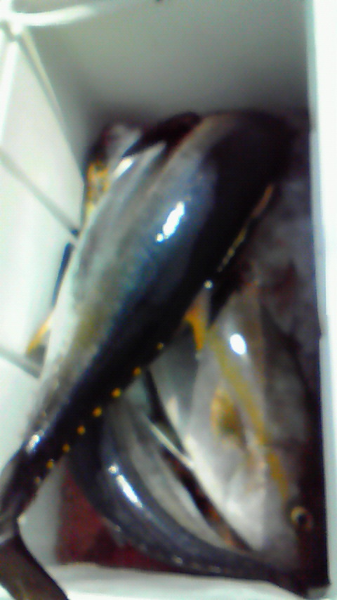 c0019951_03185.jpg