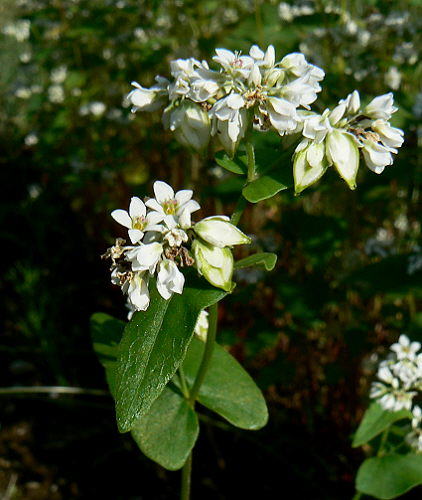 d0091754_16215335.jpg