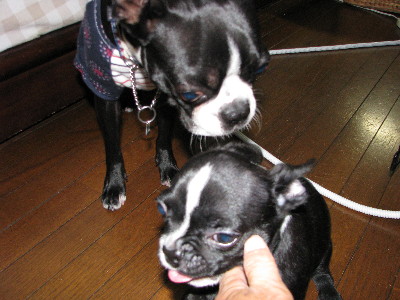 f0160554_20115271.jpg