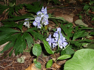 e0004756_22222963.jpg