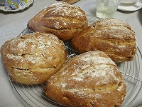 b0133870_0563151.jpg
